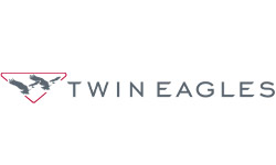 twin logo